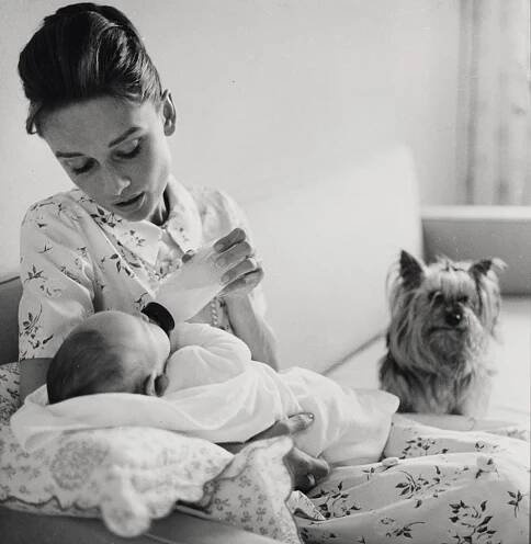 Audrey Hepburn feeding her newborn son, Sean Hepburn Ferrer, with Mr. Famous (Audrey’s Yorkshire terrier) supervising the new mother. Photo by Richard Avedon, 1960.