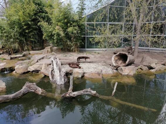 Výlet do Zoo - Oficiální stránky ZŠ a MŠ Všemina