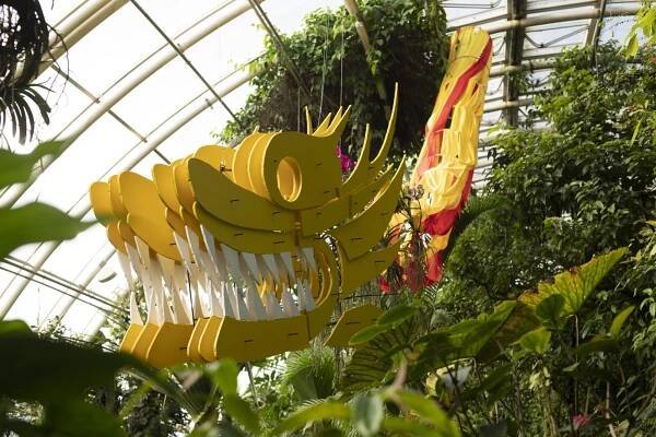 Botanická zahrada Praha zahájila výstavu orchidejí ve skleníku Fata Morgana