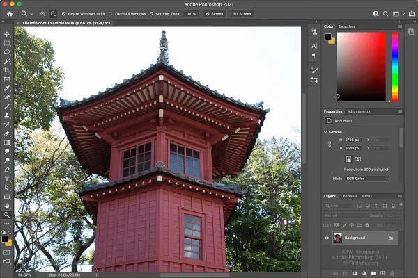 RAW File Screenshot