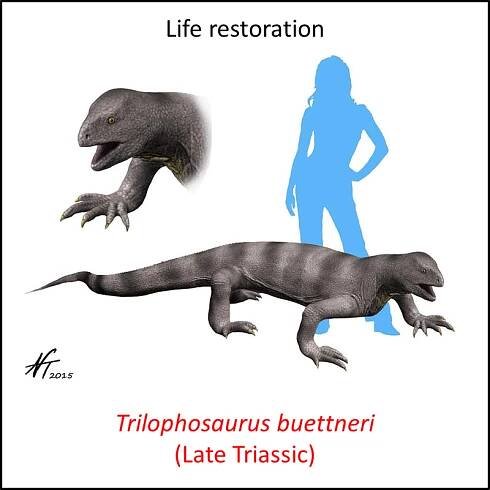 Archosauria stem group