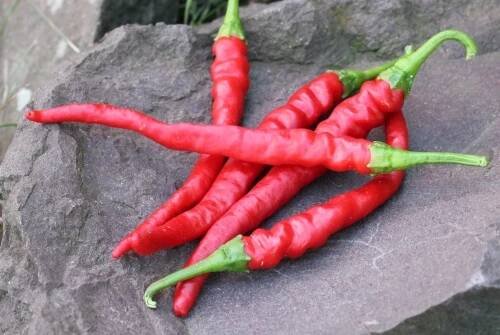 Cayenne Red