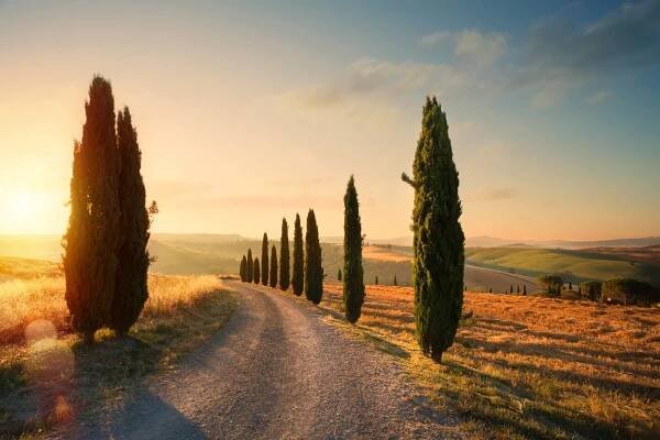 Nálepka italy tuscany countryside rolling hills; summer farmland and country road;