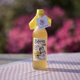Citron a zázvor – sirup bez cukru 0,5l - Babiččiny sirupy