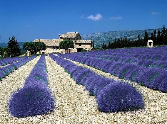 Provence na kole - stan, Last minute zájezdy a letenky