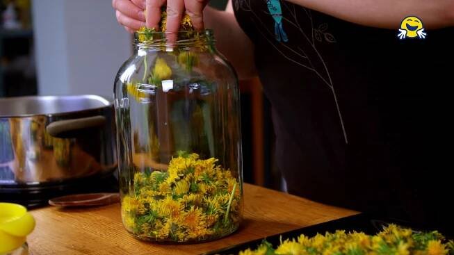 Pampeliškový sirup - zlatý poklad 🏵️ - Recept - Šikulio
