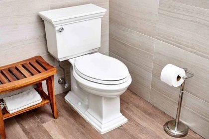 Learn Which Toilet Seals You Should Buy