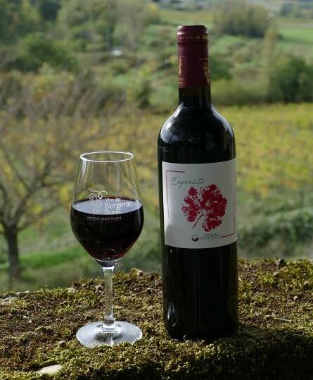 Nos vins / Our Wines, Description des vins du Domaine de Grimardy