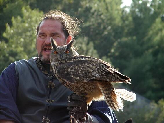 KnightHawk falconry show #29