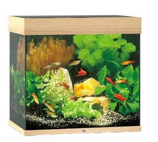 Juwel Lido LED 120 l