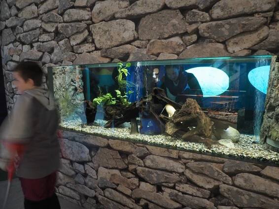 Národní zemědělské muzeum Praha | Základní škola a Praktická škola, Kostelec nad Černými lesy, K Jatkám 748