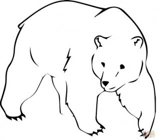 omalovánky medvěd
