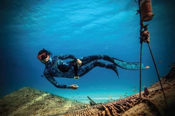 PADI Freediver - Scubanana Dive Center