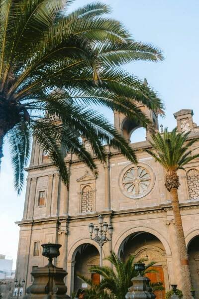 Palm trees frame a classic stone building.