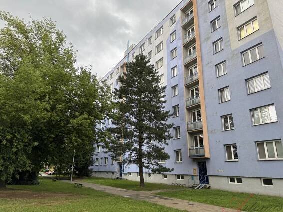 Prodej bytu 3+1, A. Dvořáka, Studénka