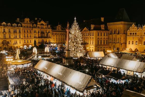 Na Staroměstském náměstí se letos o adventu rozsvítí strom z Libereckého kraje