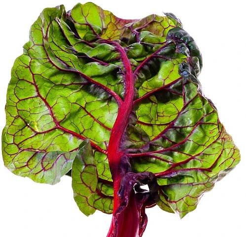 Winter greens