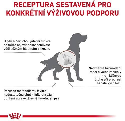 Royal Canin VHN DOG HEPATIC 12 kg