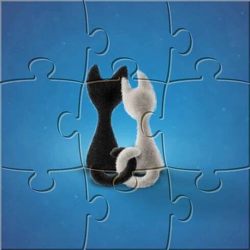 Black Cat White Cat (Color 1): preview