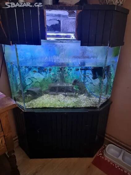Akvarium