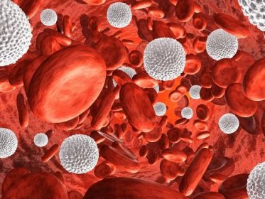 BYLINKOVÝ ZÁZRAK: Pročistěte ucpané cévy a zlepšete krevní oběh pomocí surovin v kuchyni - BEZ léků a lékařských prohlídek