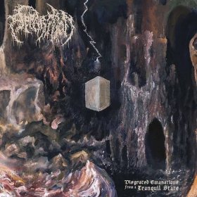 APPARITION (US) Disgraced Emanations from a Tranquil State LP BLACK
