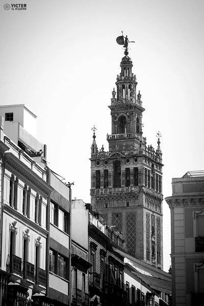 Victor el Bizarro | Portfolio | Fotografias de Córdoba y Sevilla (España)