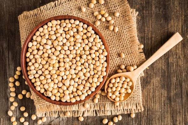alimentos altos en proteinas