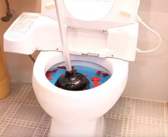 Jak vyčistit ucpaný záchod? Zvon na WC, hydroxid sodný, krtek a Coca Cola pomohou