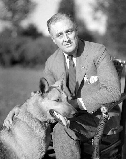 Major (Franklin D. Roosevelt's dog)