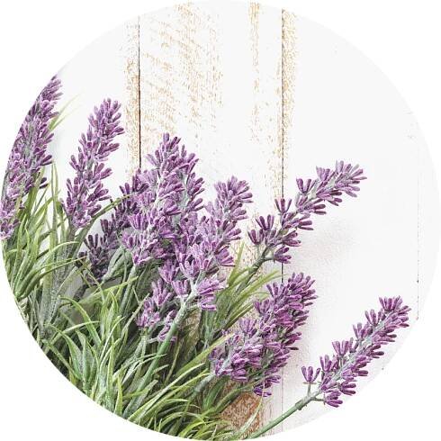 lavender - all you need to know about wedding flowers and their seasons