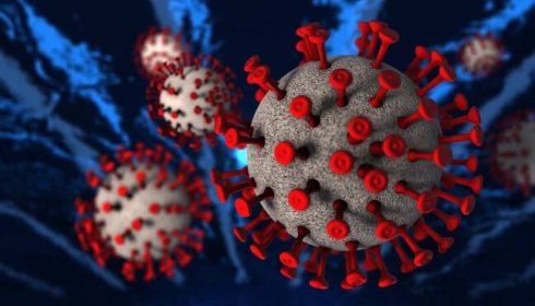 Jaká je uvědomělá reakce na koronavirus? - BuddhaWeb