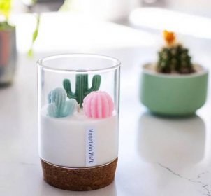 Carefully crafted cactus Candle for Cactus and Succulent Lovers