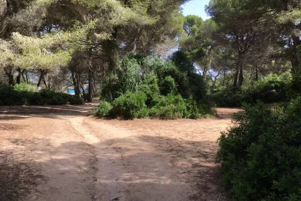 Hotel Green Garden, Španělsko Mallorca - Invia