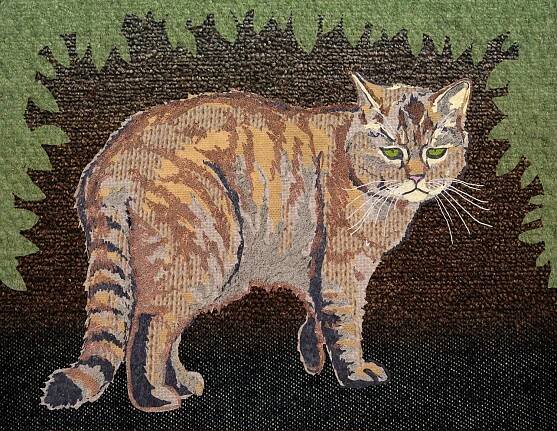 tomcat.jpg