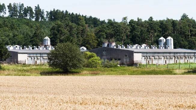 Vepřín v Letech oficiálně převzal stát. Na místě vznikne památník