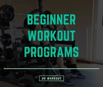 110+ Beginner Workout Programs
