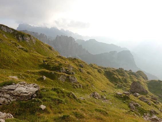 Alta Via 6 | Baxter Nature