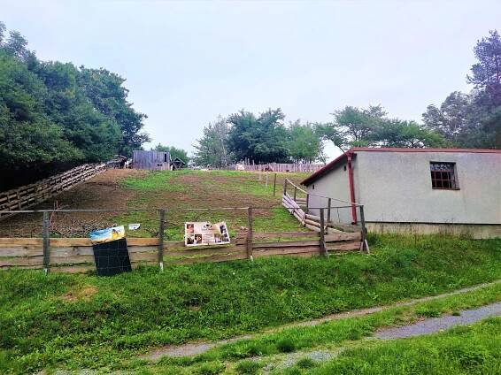 Fotografie - Šťastný dvoreček m Zookoutek, Suchdol - Jednov - 28.08.2023