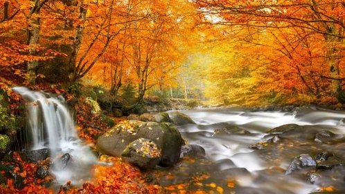 Tapeta na monitor | Podzimní | příroda, podzim, Rumunsko, les, řeka