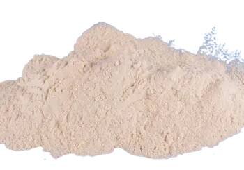 Marine Harvest Beta glukan 82% sypký Imunostimulátor pro psy 50 g