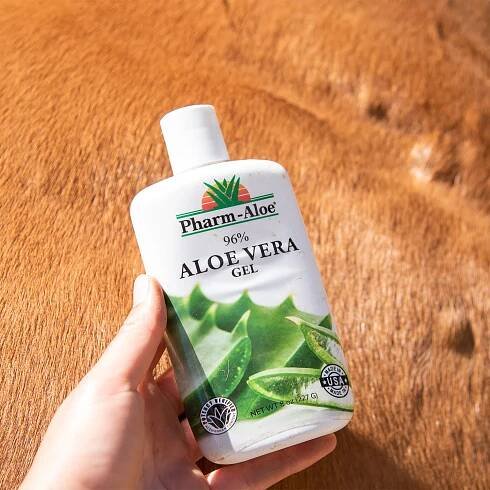 Pharm-Aloe Aloe Vera – When It Clicks