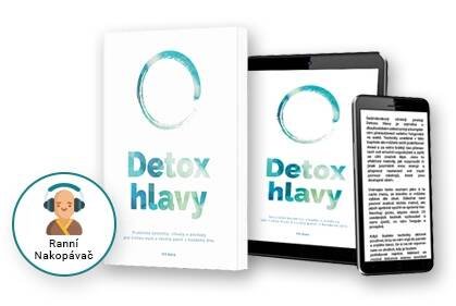 Kniha Detox hlavy