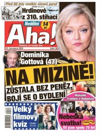 Časopis Nedělní Aha! - 28/2020 — iKiosek