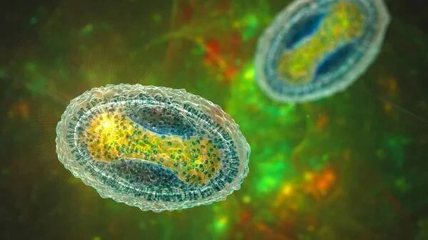 Molluscum contagiosum virus, 3D ilustrace. Virus z rodiny Poxvirus, způsobuje kožní infekci s mnoha malými zvýšenými lézemi — Stock obrázek
