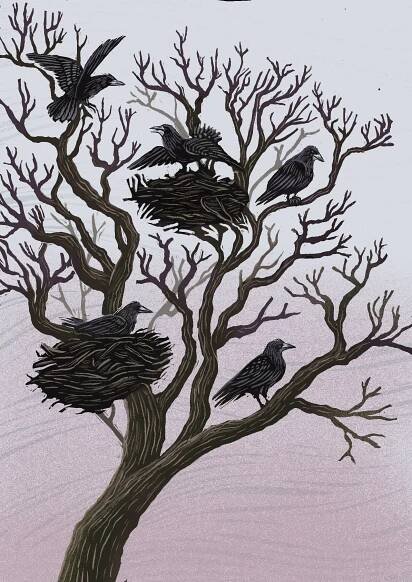 'Britain's Birds' National Trust — Joanna Lisowiec Illustration