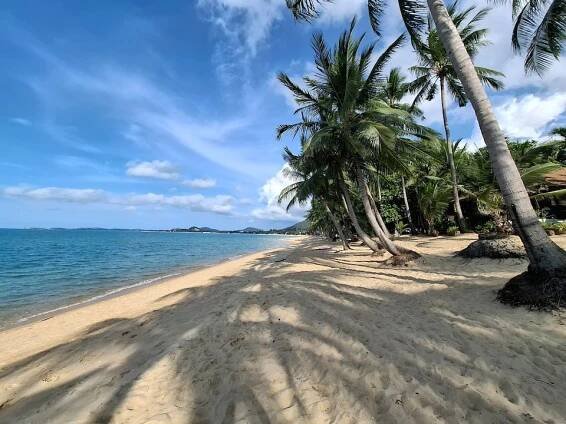 Rekreační pronájmy bungalovů Ko Samui Island | Airbnb - Surat Thani, Thajsko