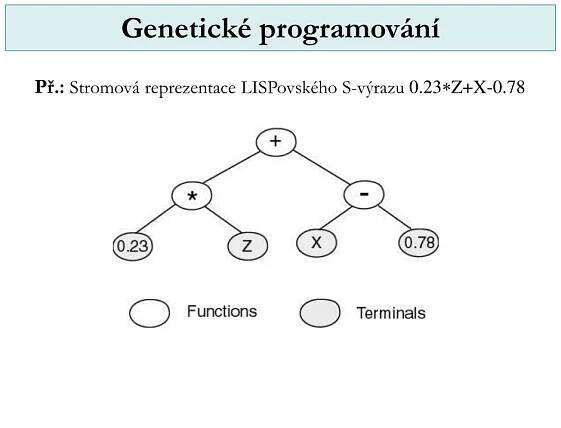 PPT - Evoluční cyklus PowerPoint Presentation, free download - ID:4532866