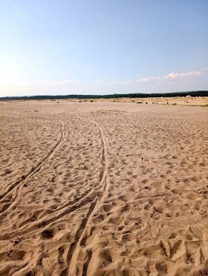 a sandy beach area with tracks in the sand and blue sky above, on a sunny day