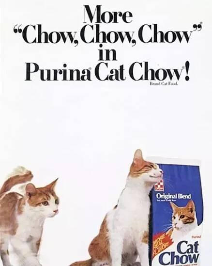 Cat Chow poster